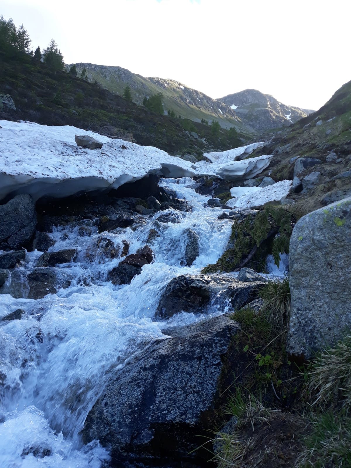 Rio di montagna tra la neve residua dell’estate in alta quota